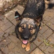 EVIE -  reserviert TINO