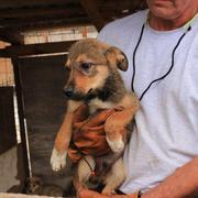 BOLKO - reserviert Arche Noah