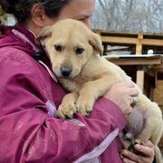 SIMBA reserviert 4Animals