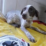 CELESTE ist reserviert (NiWi )