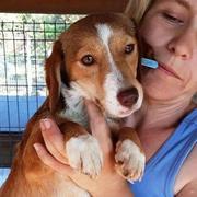 NAIRA - reserviert 4Animals