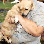 RESI (NARA) - reserviert 4Animals