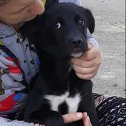 SNORRI - reserviert Tierheim Lingen