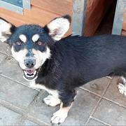 SOFINA  - reserviert THL (MP)