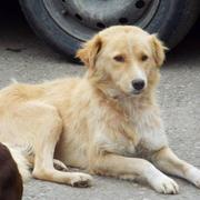 NINA - Blonder Engel - reserviert (TH Solingen)!