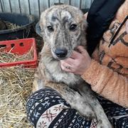 ALDA ist reserviert (NadineZ)