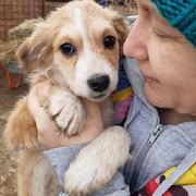 CHERRY - reserviert Hundescheune Fläming (Anna)