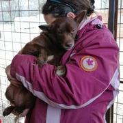 NURIA - reserviert Dog Rescue / Tierhilfe Lebenswert e.V. (MP)