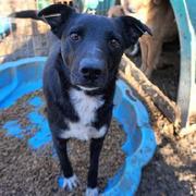 TEODOR - reserviert THL DR (GC)